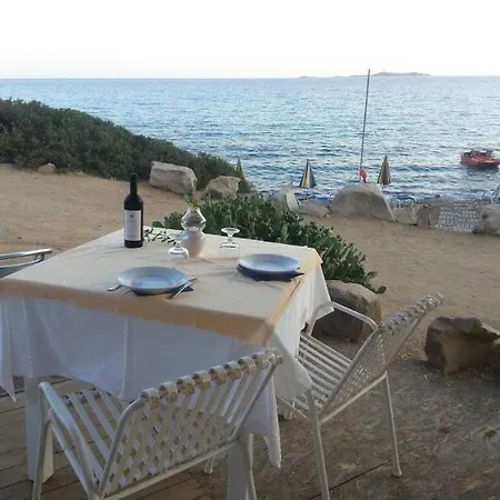 L'oleandro וילסימיוס