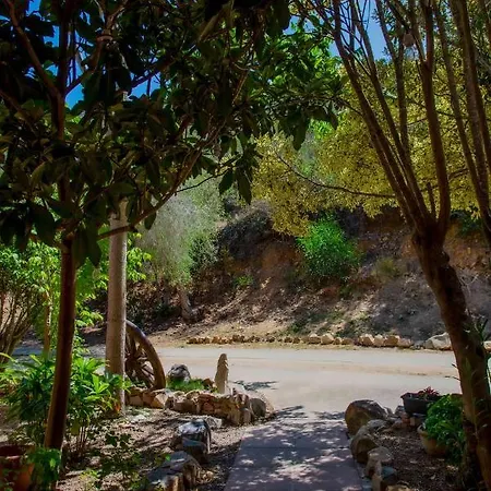 L'oleandro וילסימיוס