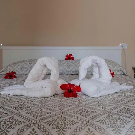 L'oleandro 3* וילסימיוס