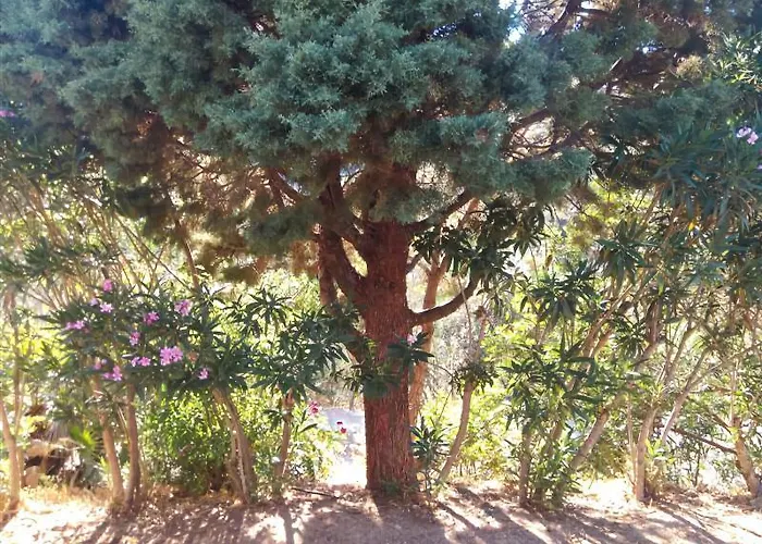 L'oleandro Hotel Villasimius